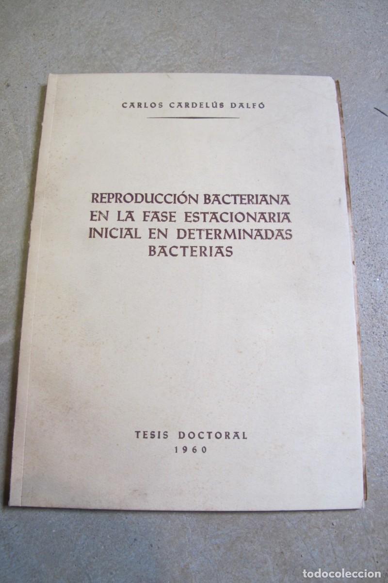 Altri oggetti di carta: REPRODUCCION BACTERIANA EN LA FASE ESTACIONARIA INICIAL EN DETERMINADAS BACTERIAS. CARDELUS DALFO C.