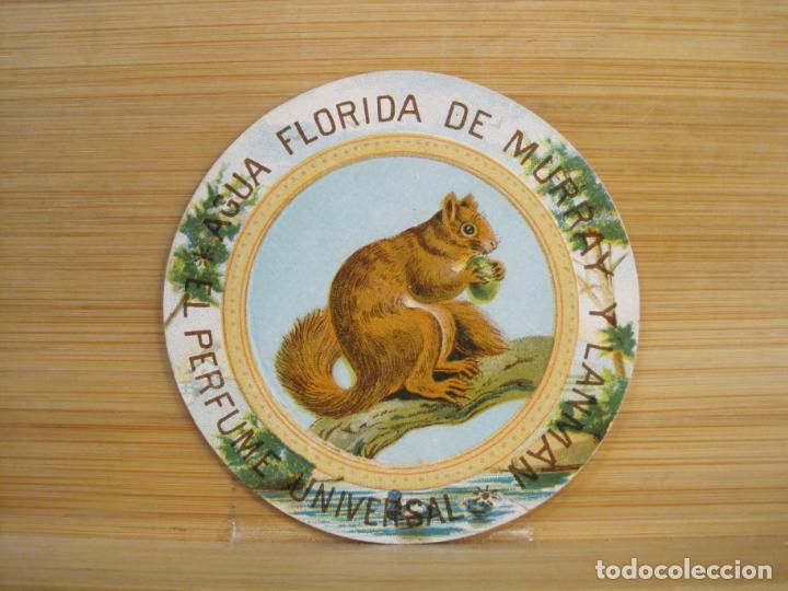 Paper Collecting Others: AGUA FLORIDA DE MURRAY Y LANMAN-EL PERFUME UNIVERSAL-PUBLICIDAD ANTIGUA-VER FOTOS-(100.591)