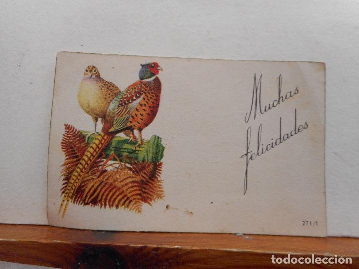 Otros Art&iacute;culos de Coleccionismo en Papel: TARJETA DE FELICITACIONES. AVES. CIRCULADA. MEDIDAS 10*6 CM.