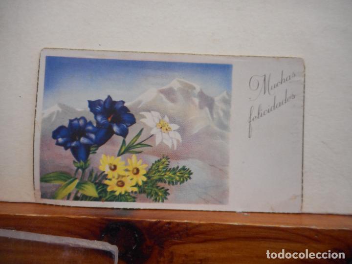 Otros Art&iacute;culos de Coleccionismo en Papel: TARJETA DE FELICITACIONES. FLORES. CIRCULADA. MEDIDAS 11*6 CM.