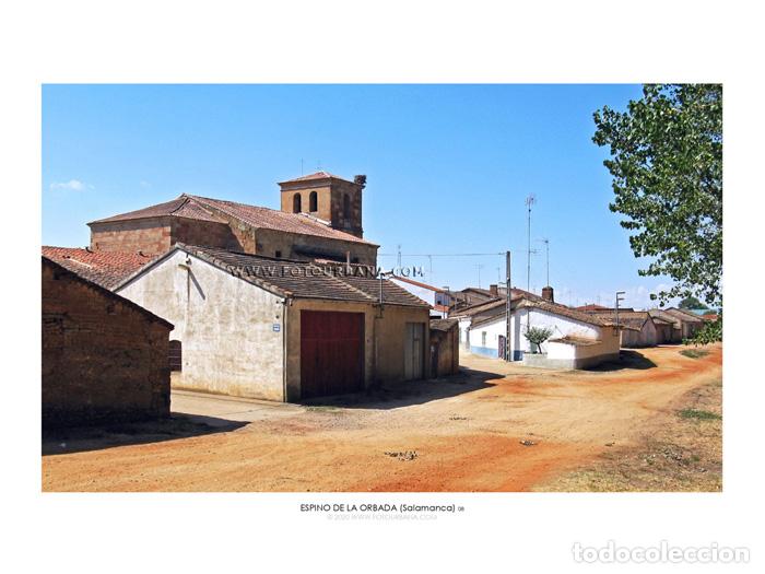 Outros artigos de papel: ESPINO DE LA ORBADA #02 (Salamanca) - Fotograf&iacute;a de autor - Fotourbana.com