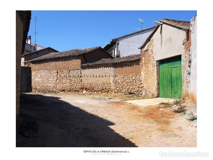 Outros artigos de papel: ESPINO DE LA ORBADA #04 (Salamanca) - Fotograf&iacute;a de autor - Fotourbana.com