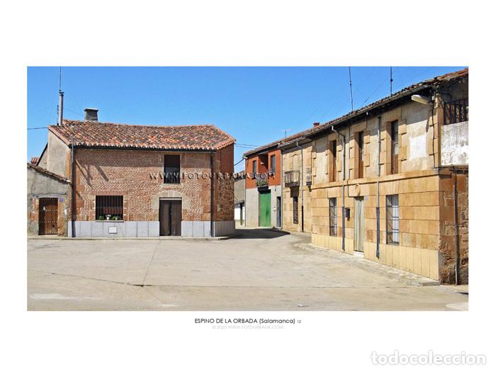 Outros artigos de papel: ESPINO DE LA ORBADA #05 (Salamanca) - Fotograf&iacute;a de autor - Fotourbana.com