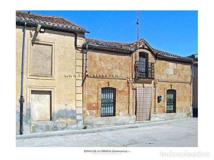 Outros artigos de papel: ESPINO DE LA ORBADA #06 (Salamanca) - Fotograf&iacute;a de autor - Fotourbana.com