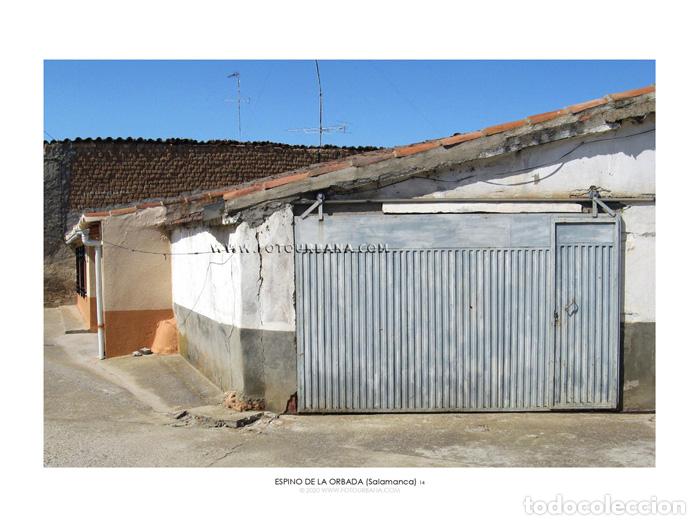 Outros artigos de papel: ESPINO DE LA ORBADA #07 (Salamanca) - Fotograf&iacute;a de autor - Fotourbana.com