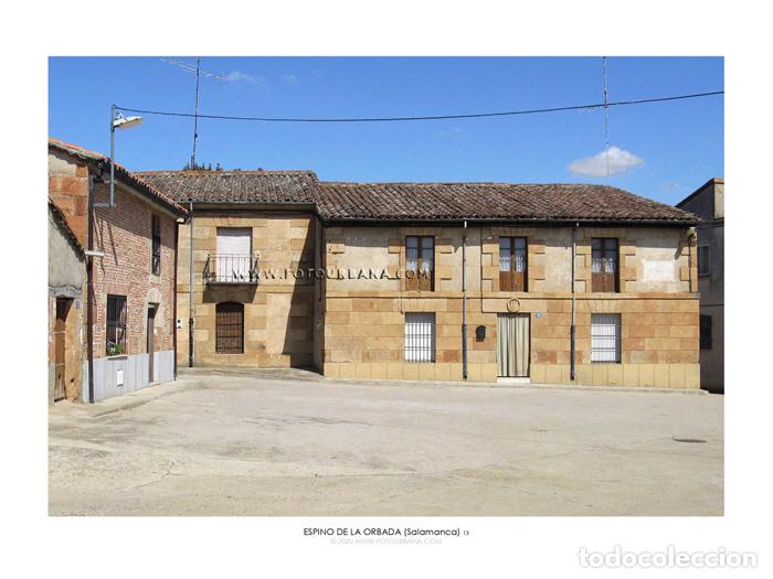 Paper Collecting Others: ESPINO DE LA ORBADA #08 (Salamanca) - Fotograf&iacute;a de autor - Fotourbana.com