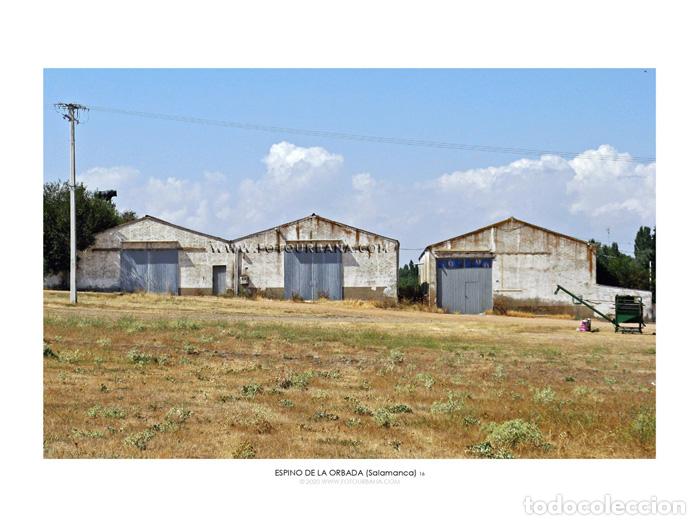 Paper Collecting Others: ESPINO DE LA ORBADA #09 (Salamanca) - Fotograf&iacute;a de autor - Fotourbana.com