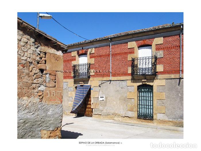 Paper Collecting Others: ESPINO DE LA ORBADA #10 (Salamanca) - Fotograf&iacute;a de autor - Fotourbana.com