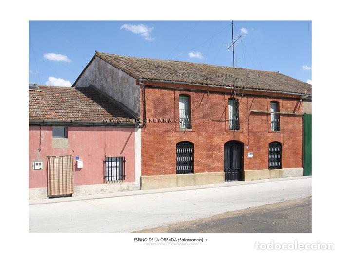 Paper Collecting Others: ESPINO DE LA ORBADA #11 (Salamanca) - Fotograf&iacute;a de autor - Fotourbana.com