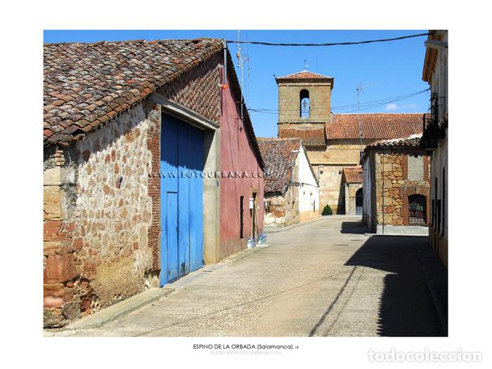 Paper Collecting Others: ESPINO DE LA ORBADA #12 (Salamanca) - Fotograf&iacute;a de autor - Fotourbana.com