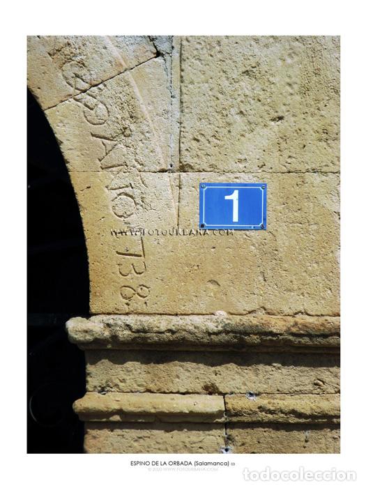 Paper Collecting Others: ESPINO DE LA ORBADA #13 (Salamanca) - Fotograf&iacute;a de autor - Fotourbana.com