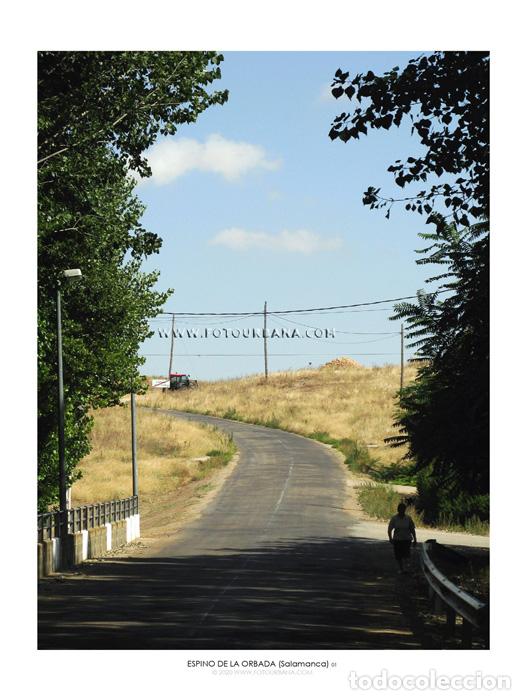 Paper Collecting Others: ESPINO DE LA ORBADA #14 (Salamanca) - Fotograf&iacute;a de autor - Fotourbana.com