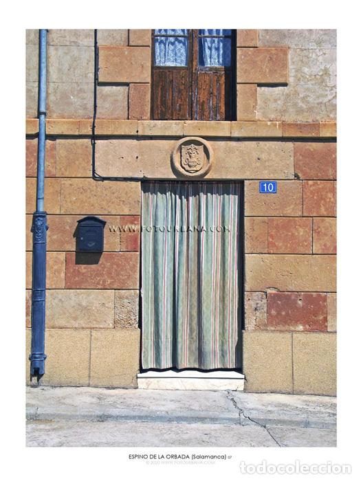 Paper Collecting Others: ESPINO DE LA ORBADA #15 (Salamanca) - Fotograf&iacute;a de autor - Fotourbana.com