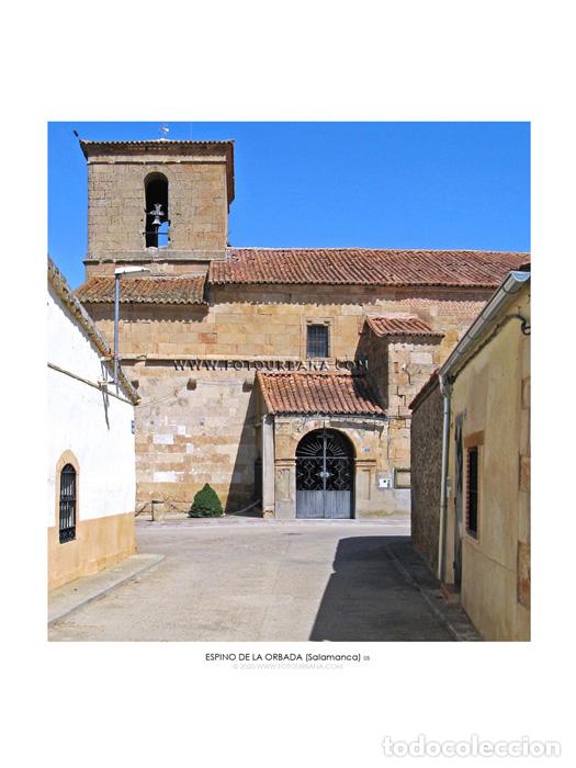 Paper Collecting Others: ESPINO DE LA ORBADA #16 (Salamanca) - Fotograf&iacute;a de autor - Fotourbana.com
