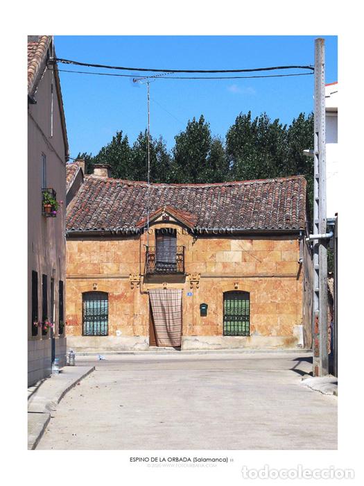 Paper Collecting Others: ESPINO DE LA ORBADA #17 (Salamanca) - Fotograf&iacute;a de autor - Fotourbana.com