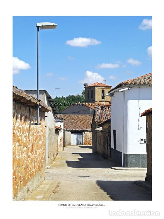 Paper Collecting Others: ESPINO DE LA ORBADA #18 (Salamanca) - Fotograf&iacute;a de autor - Fotourbana.com