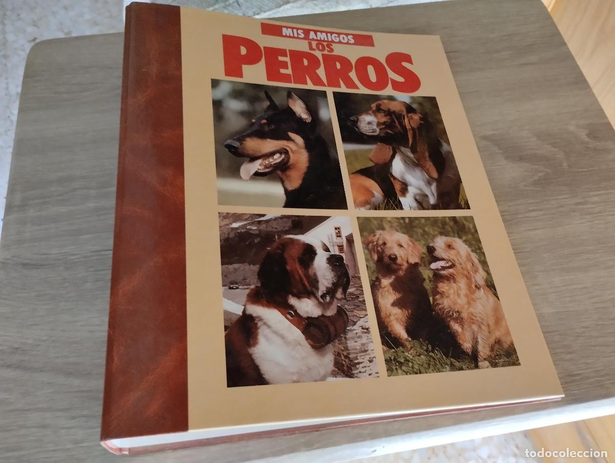 Otros Art&iacute;culos de Coleccionismo en Papel: carpeta vacia de la coleccion mis amigos los perros