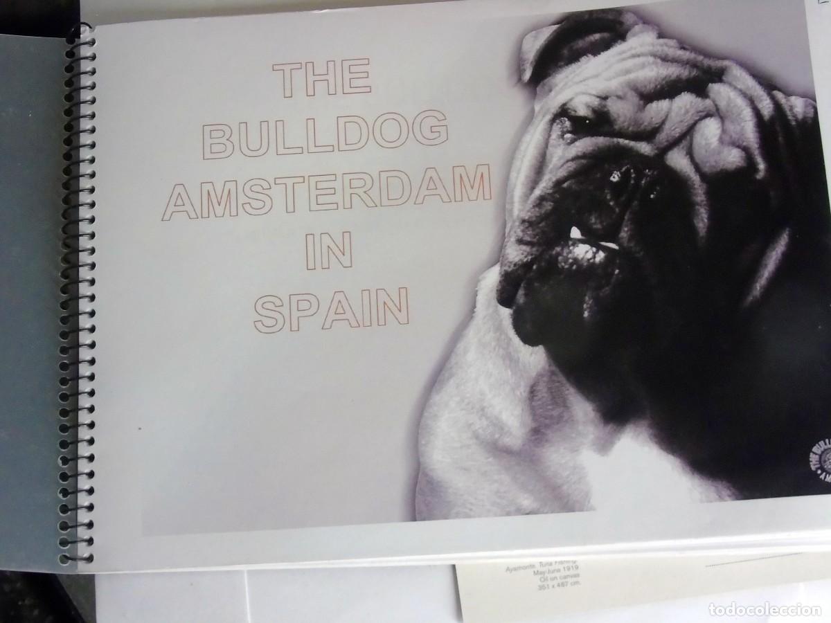 Paper Collecting Others: FOLDER THE BULLDOG AMSTERDAM SPAIN