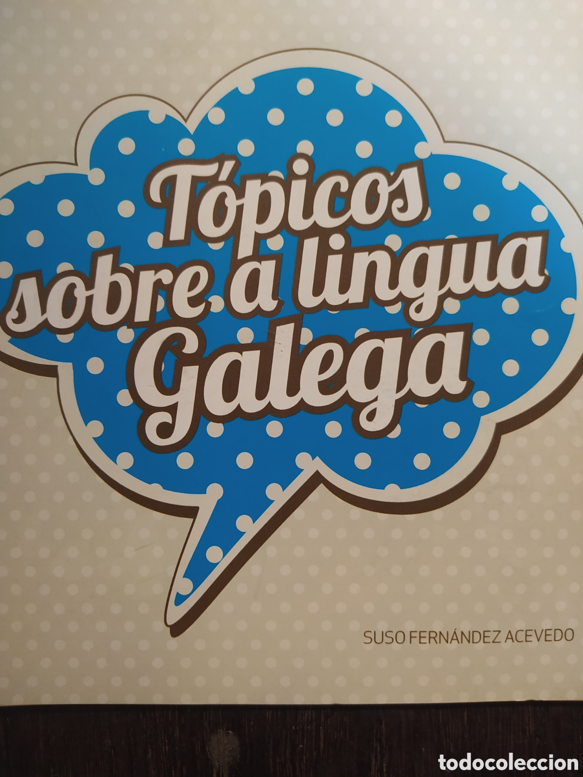 Altri oggetti di carta: T&oacute;picos sobre a lingua galega.