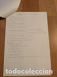 Sammelleidenschaft Andere Papierartikel: TRABAJO ESCOLAR &laquo;EL SISTEMA NERVIOSO Y LOS SENTIDOS&raquo;