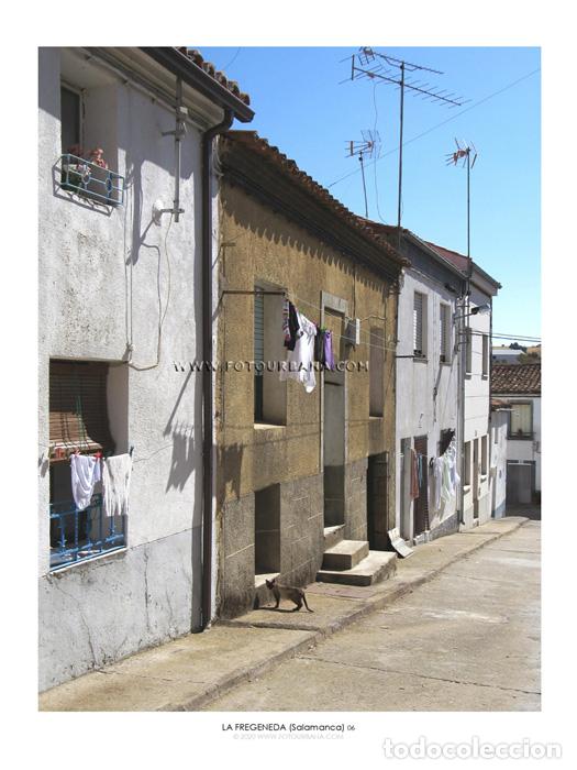 Paper Collecting Others: LA FREGENEDA #12 (Salamanca) - Fotograf&iacute;a de autor - Fotourbana.com