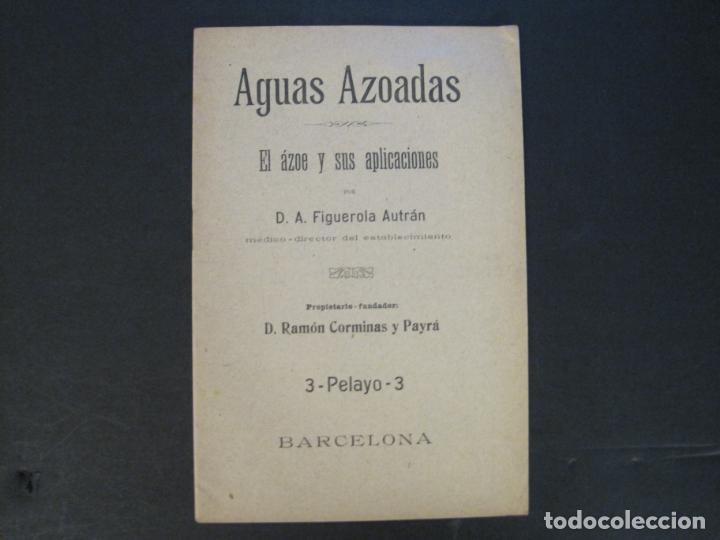 Collectionnisme Papier divers: AGUAS AZOADAS-EL AZOE Y SUS APLICACIONES-D.A. FIGUEROLA AUTRAN-VER FOTOS-(K-9992)
