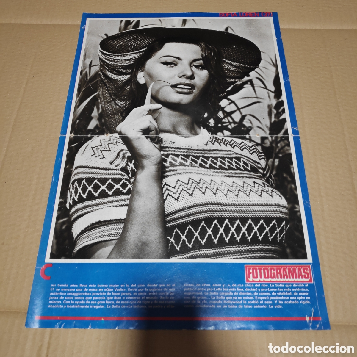 Otros Art&iacute;culos de Coleccionismo en Papel: POSTER FOTOGRAMAS SOFIA LOREN