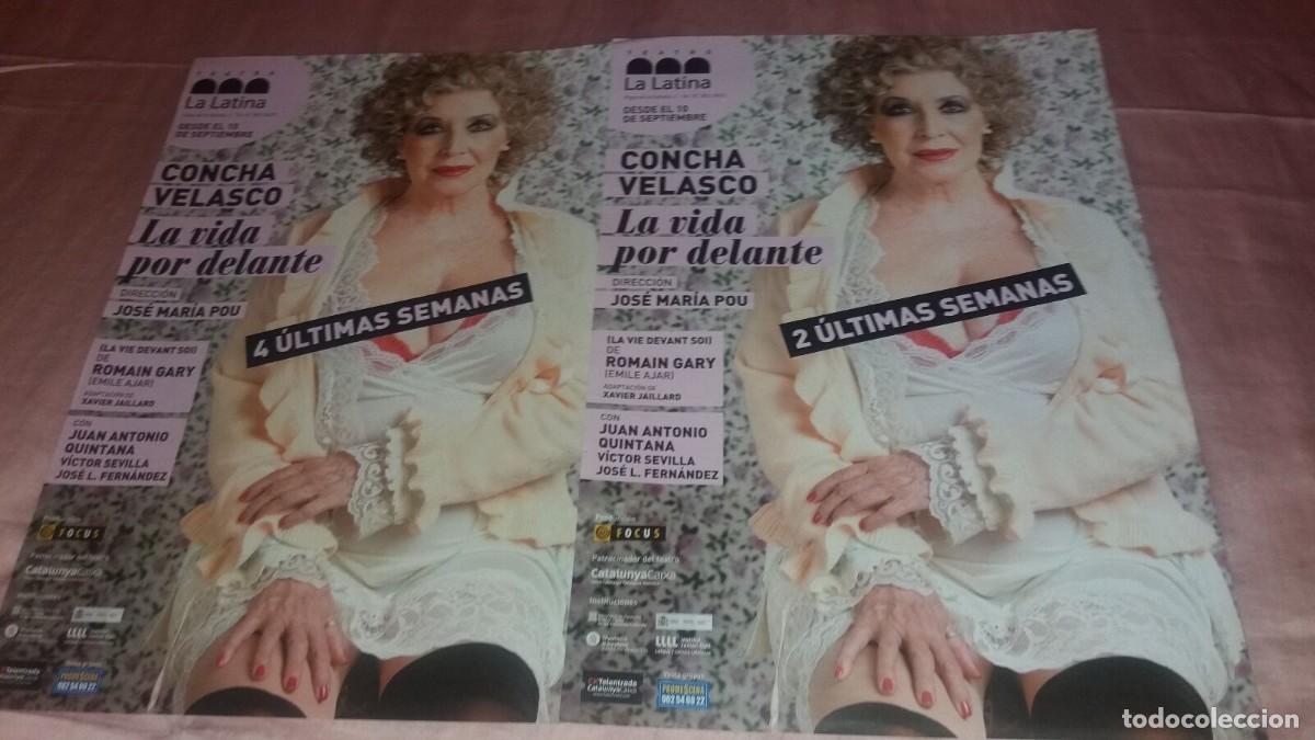 Otros art&iacute;culos de coleccionismo en papel: concha velasco - 5 paginas 43x30 + 2 paginas 35x30 + 2 paginas spanish clippings - ver fotos