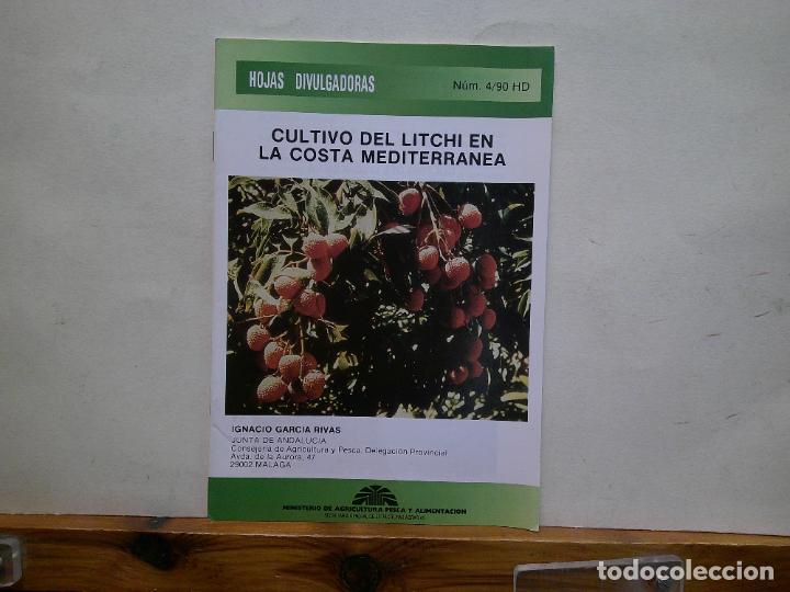 Collectionnisme Papier divers: CULTIVO DEL LITCHI EN LA COSTA MEDITERR&Aacute;NEA. IGNACIO GARC&Iacute;A RIVAS. HOJAS DIVULGADORAS.