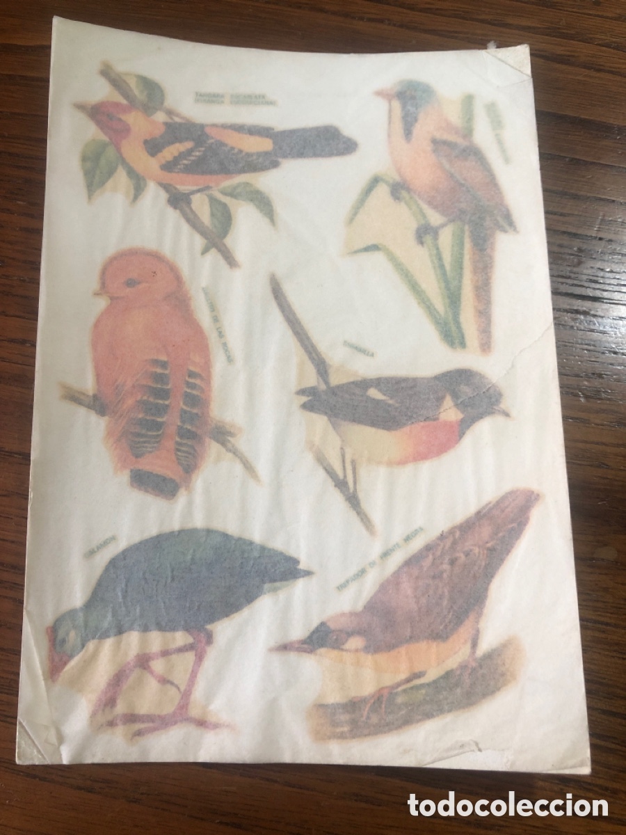Otros art&iacute;culos de coleccionismo en papel: CALCOMAN&Iacute;AS ORTEGA P&Aacute;JAROS SERIE FAUNA