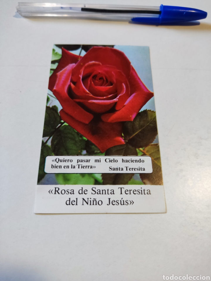 Otros art&iacute;culos de coleccionismo en papel: Estampa religiosa Rosa de Santa Teresita del ni&ntilde;o Jes&uacute;s
