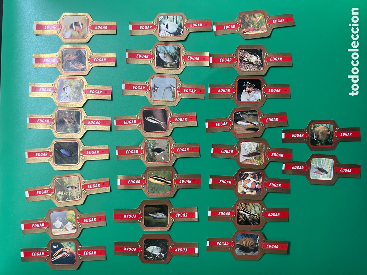 Paper Collecting Others: A41.LOTE DE 26 VITOLAS EDGAR CIGAR BAND VITOLA