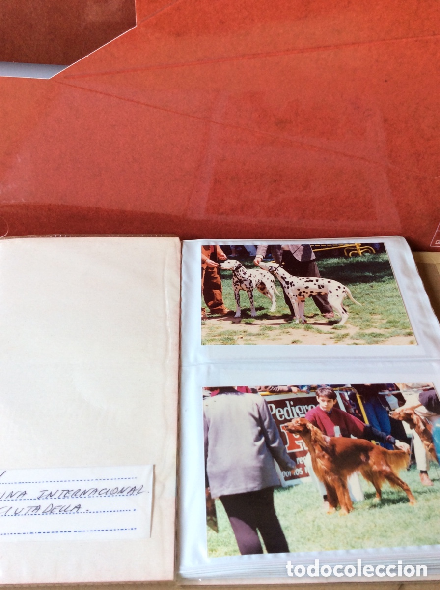 Otros Art&iacute;culos de Coleccionismo en Papel: Album fotos Exposicion Canina Internacional Barcelona 19/05/1991 Parc de la ciutadella 36 fotografia