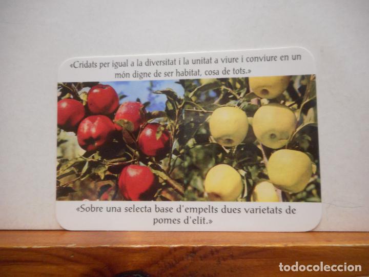 Collectionnisme Papier divers: CALENDARIO 2009. GERMANS DE SANT JOAN DE D&Eacute;U.