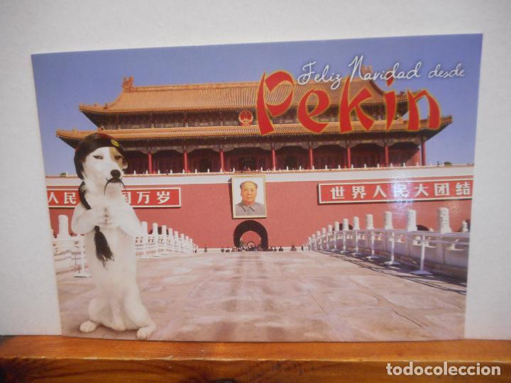 Collectionnisme Papier divers: BONITA POSTA. FELIZ NAVIDAD DESDE PEKIN. NUEVA.