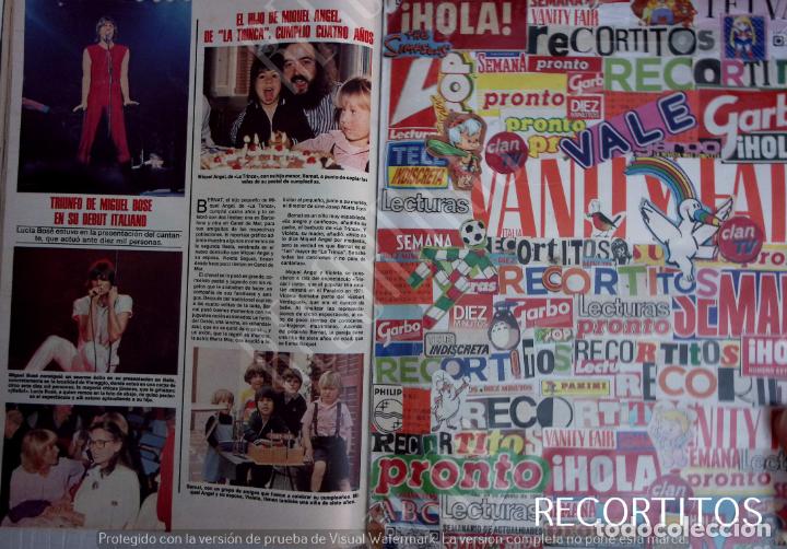 Paper Collecting Others: miguel bose lucia la trinca miguel angel