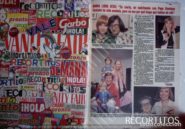 Paper Collecting Others: maria luisa seco pepe domingo casta&ntilde;o