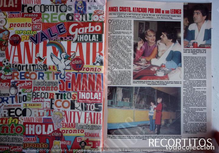 Paper Collecting Others: barbara rey angel cristo