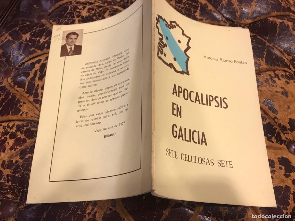 Outros artigos de papel: ANTONIO ALONSO FONT&Aacute;N. APOCALIPSIS EN GALICIA. SETE CELULOSAS SETE. 1977