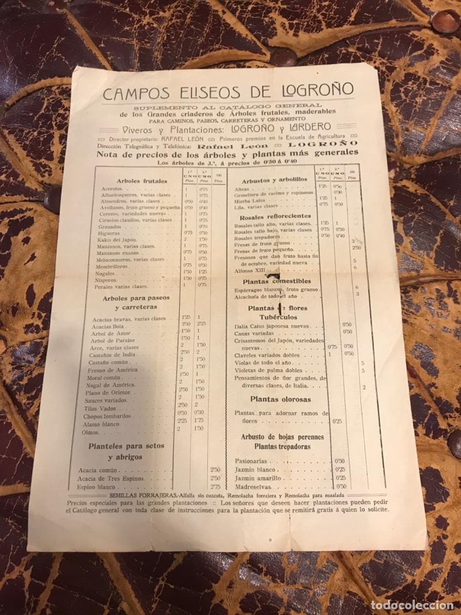 Sammelleidenschaft Andere Papierartikel: CAMPOS ELISEOS DE LOGRO&Ntilde;O. VIVEROS Y PLANTACIONES: LOGRO&Ntilde;O Y LARDERO. RAFAEL LE&Oacute;N. TARIFA DE &Aacute;RBOLES