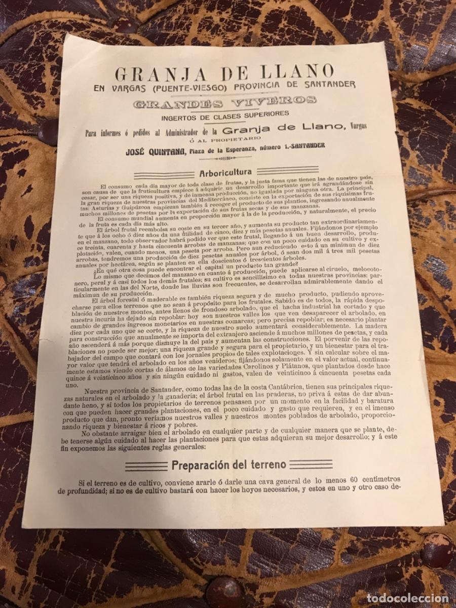 Sammelleidenschaft Andere Papierartikel: HOJA PUBLICITARIA. GRANJA DE LLANO EN VARGAS, PUENTE-VIESGO. SANTANDER. GRANDES VIVEROS