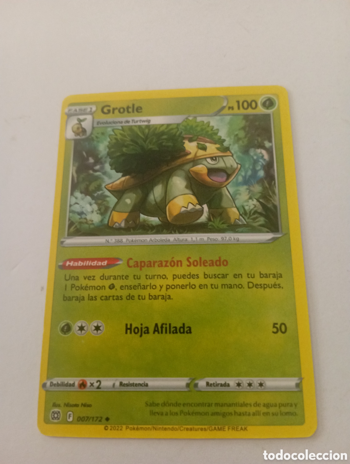 Otros Art&iacute;culos de Coleccionismo en Papel: GROTLE POKEMON CARD CARTA POKEMON