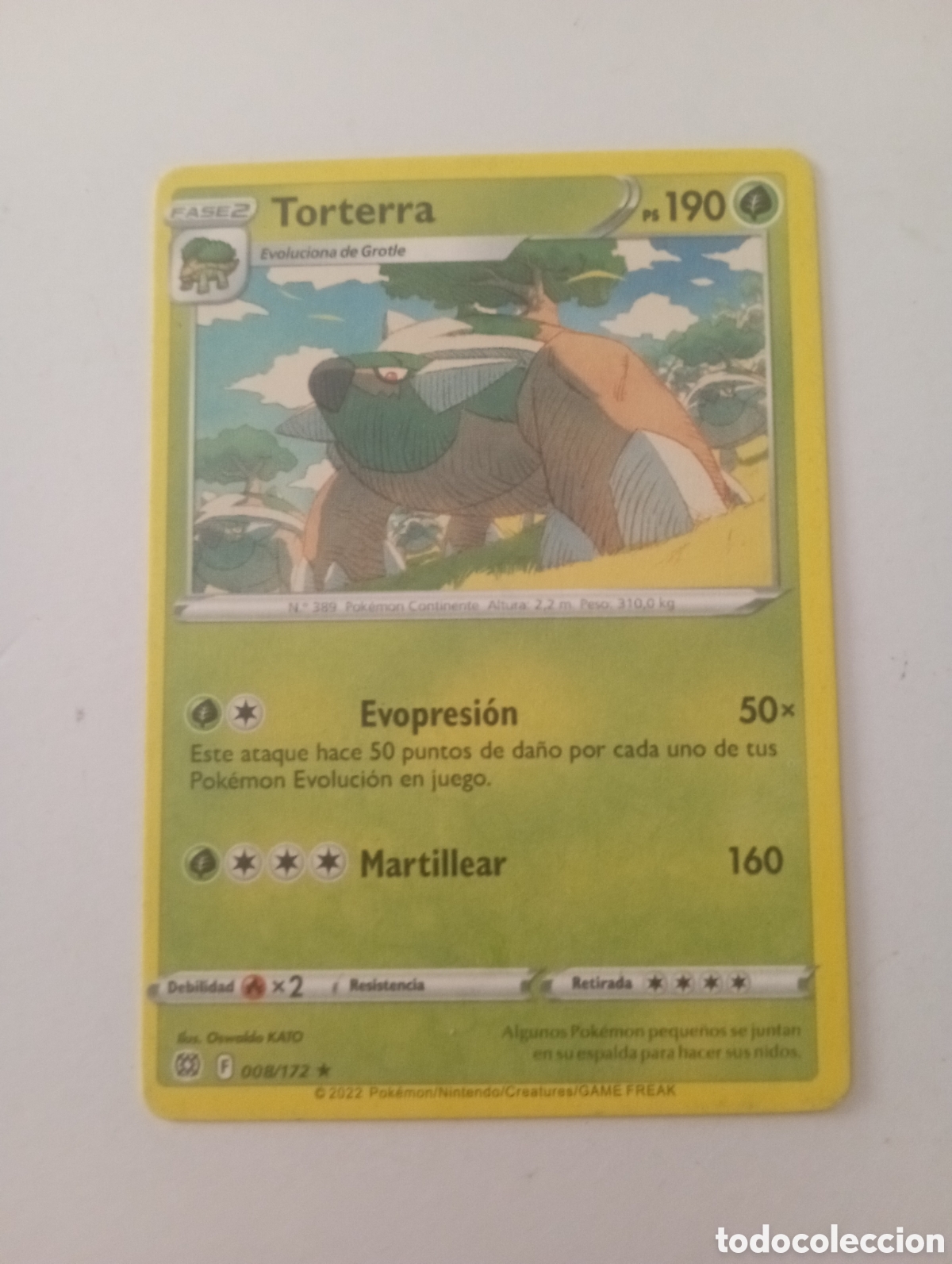 Otros Art&iacute;culos de Coleccionismo en Papel: TORTERRA POKEMON CARD CARTA POKEMON