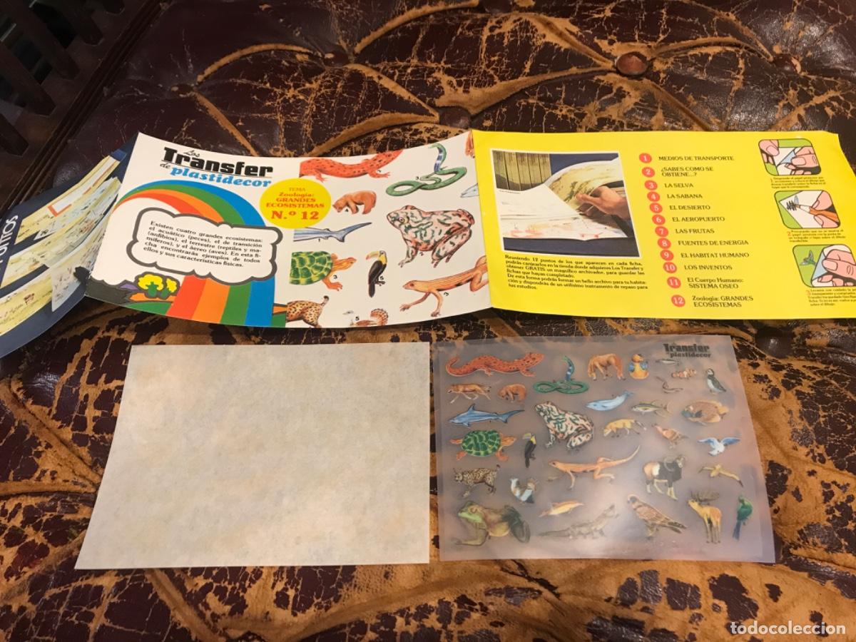 Collectionnisme Papier divers: LOS TRANSFER DE PLASTIDECOR. TEMA, ZOOLOG&Iacute;A: GRANDES ECOSISTEMAS. N&ordm; 12