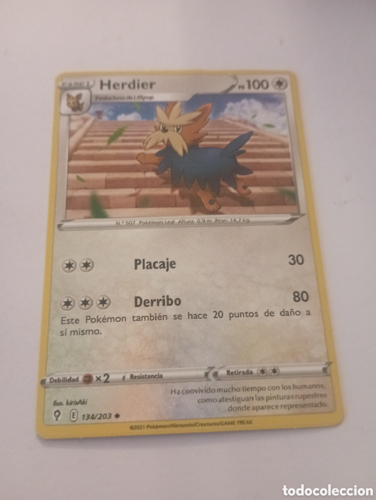Otros Art&iacute;culos de Coleccionismo en Papel: HERDIER POKEMON CARD CARTA POKEMON
