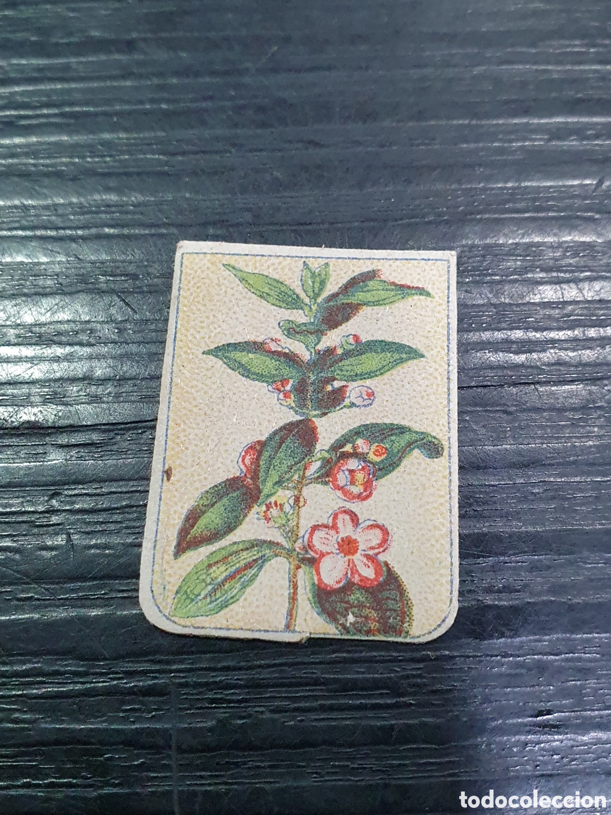 Outros artigos de papel: Emblema Auxilio Social. Membrillero de China. (L2)