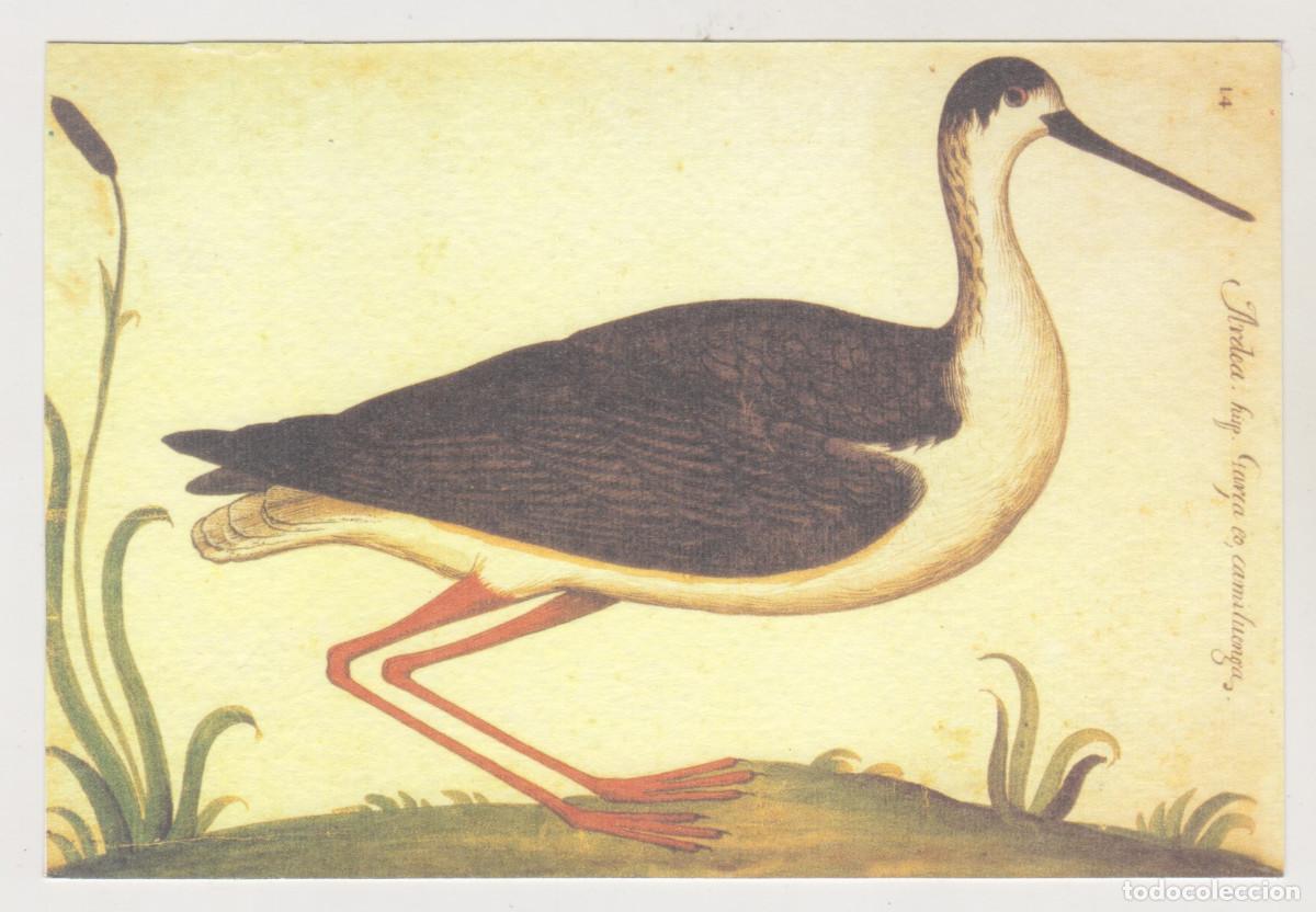 Otros art&iacute;culos de coleccionismo en papel: ARDEA - GAR&Ccedil;A CAMILUENGA - 14 - PEQUE&Ntilde;A L&Aacute;MINA - MEDIDAS: 10 X 14,50 CMS. - PERFECTO ESTADO