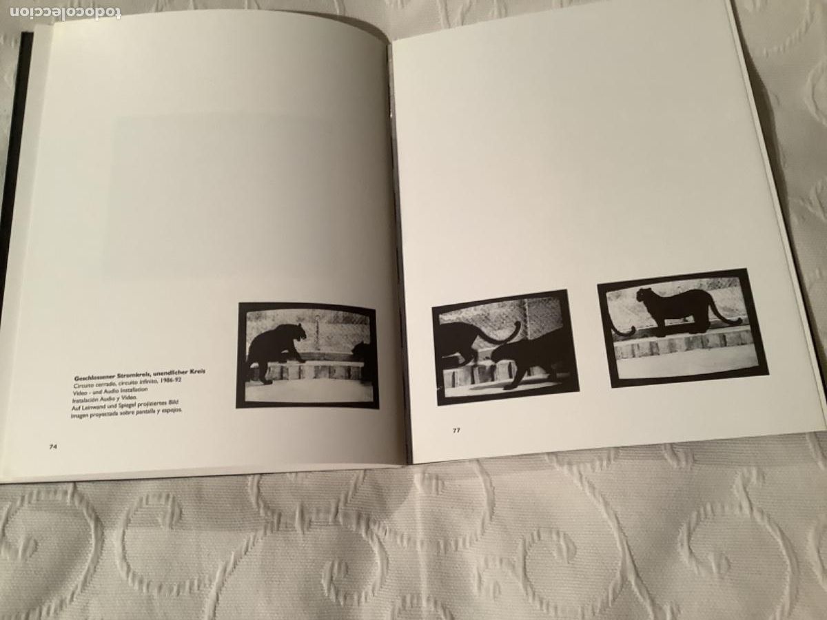Otros art&iacute;culos de coleccionismo en papel: Paloma Navares. - Foto 3