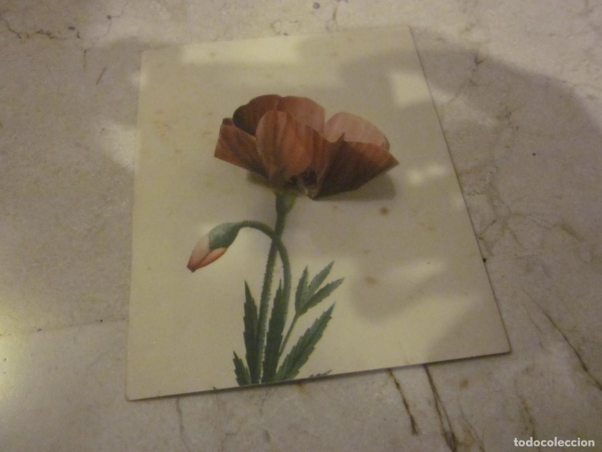 Otros art&iacute;culos de coleccionismo en papel: CARTAL POSTAL MENU CENA AMERICANA - CASINO CULTURAL DE ALMERIA - AGOSTO 1953
