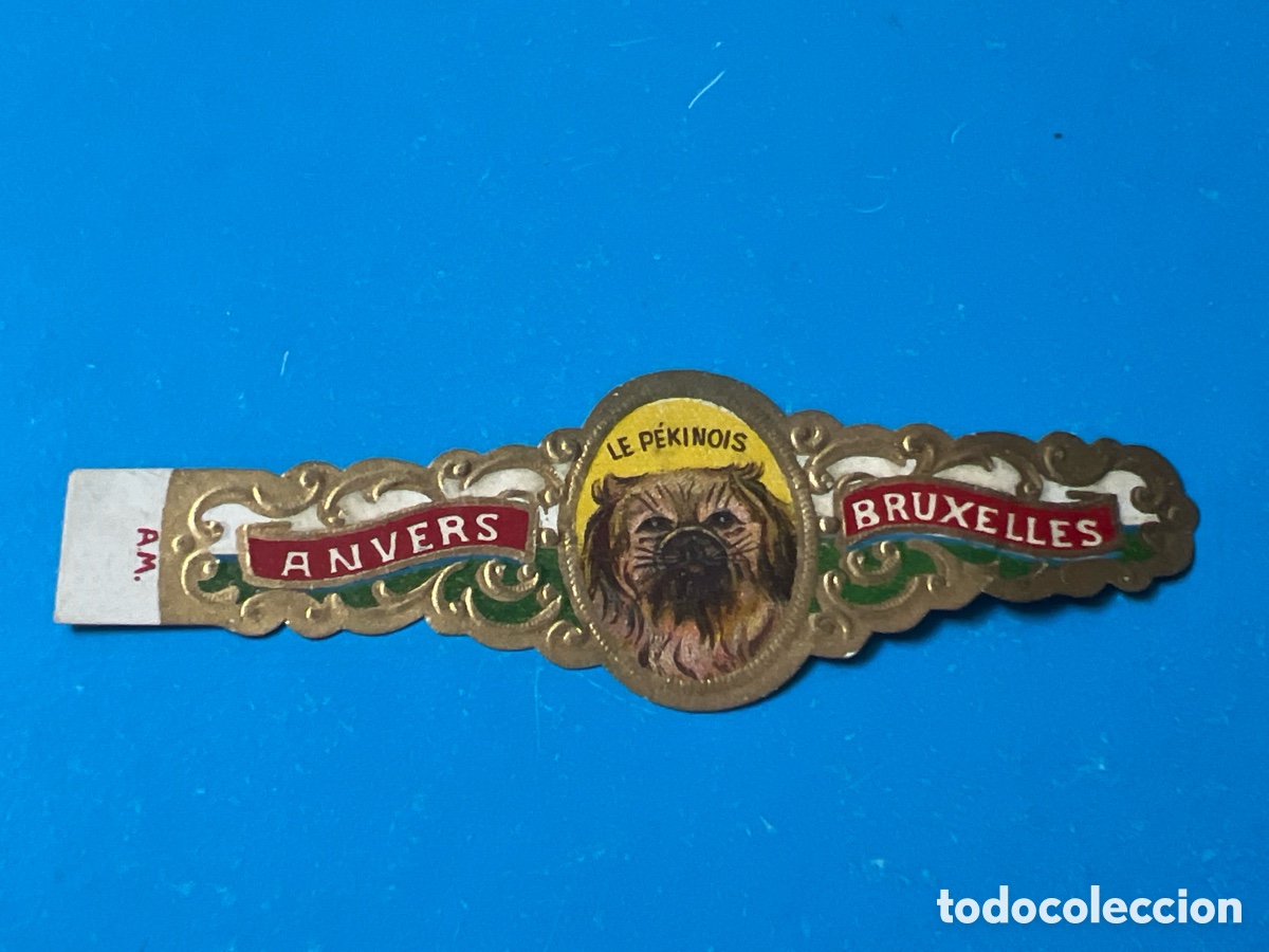 Outros artigos de papel: V3355. VITOLA ANVERS BRUXELLES - VITOLAS CIGAR BANDS BAGUES DE CIGARE BAUCHBINDEN SIGAREN BANDEN